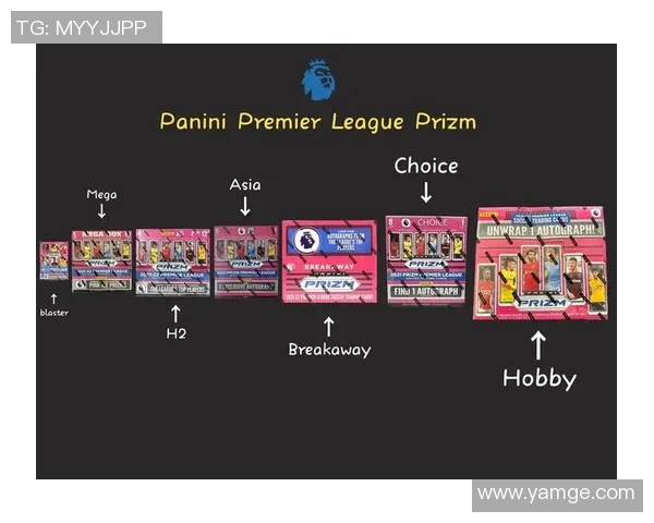 帕尼尼足球球星卡为何价格飙升背后的原因解析与市场趋势分析